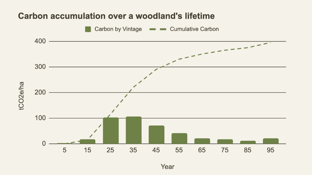 Graph showing carbon accumulated over a woodland's lifetime